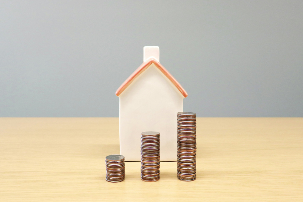 Empowering Small Developers: Tailored Financial Solutions